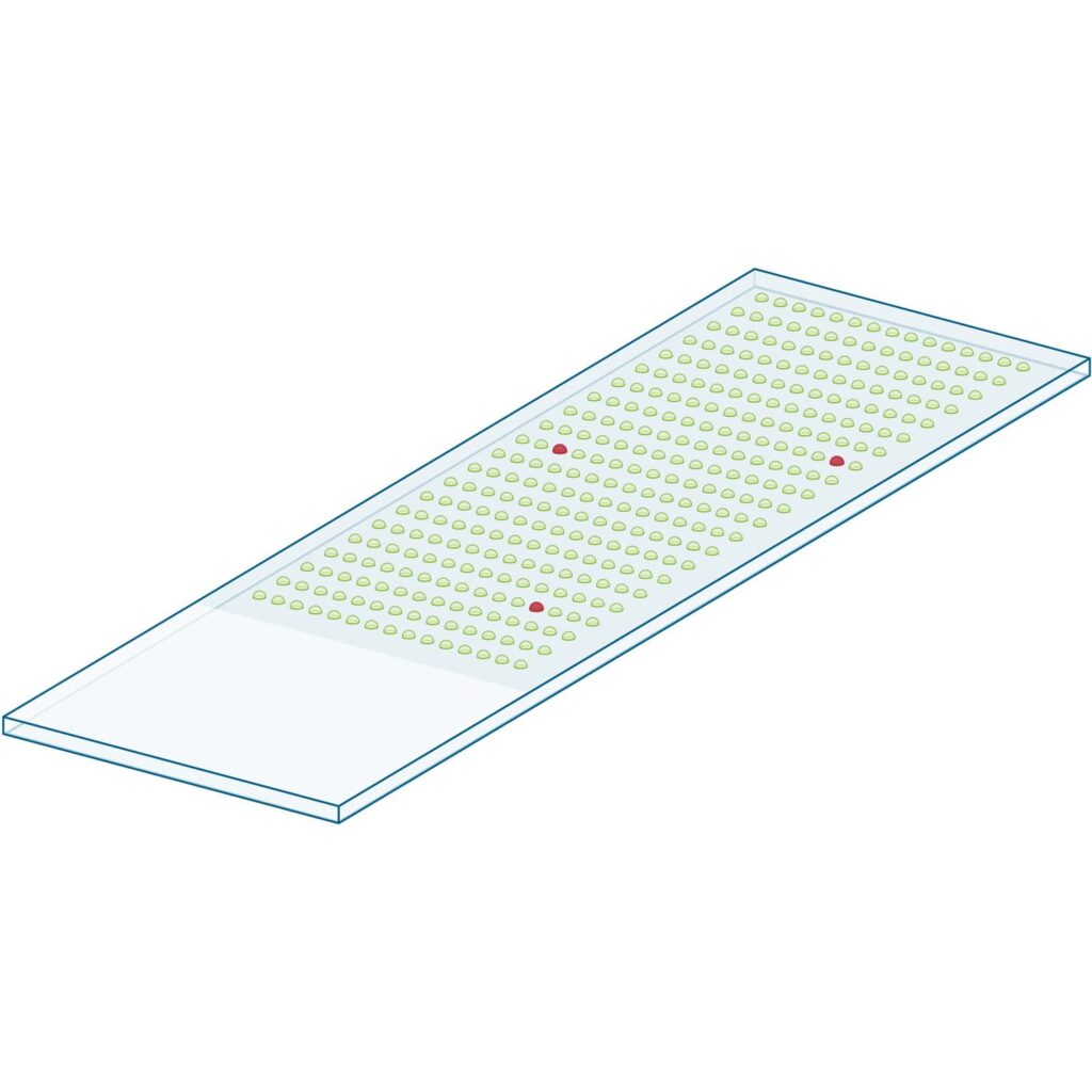 microarray slide arrayplex hits