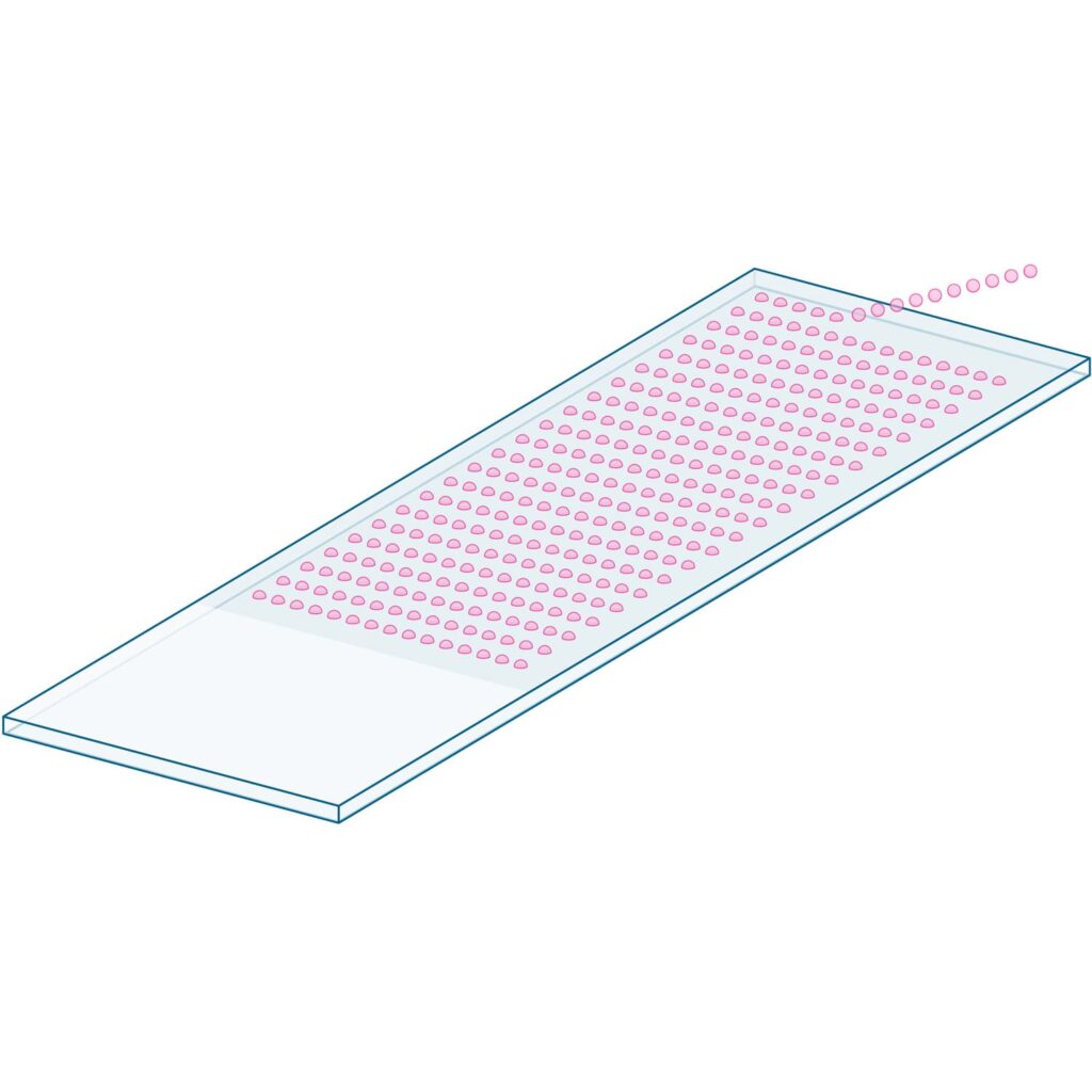 microarray slide printing