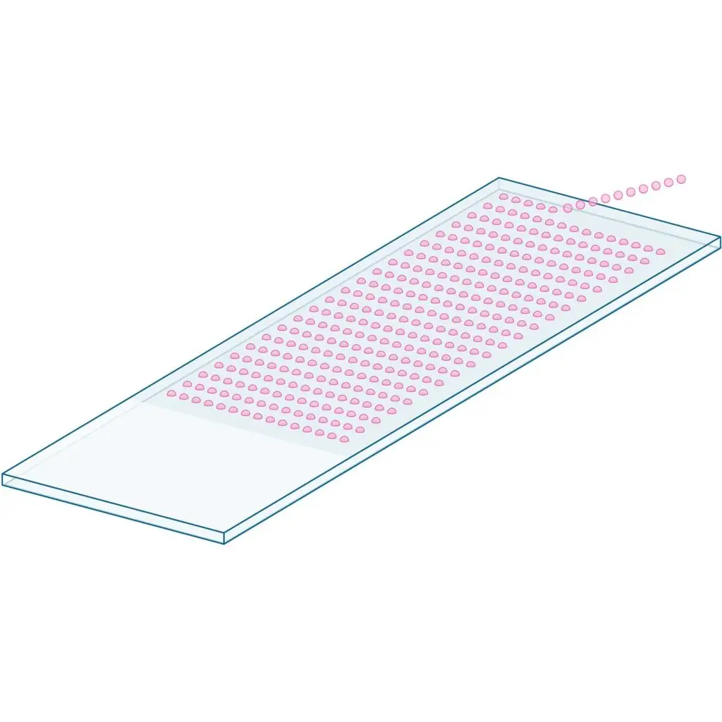 microarray slide printing