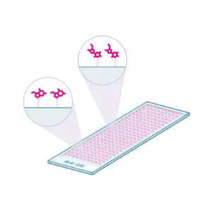 small molecule microarray diagram