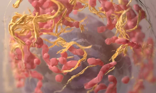 3D-structure-melanoma-cell-ion-abrasion-SEM
